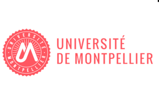 université de montpellier