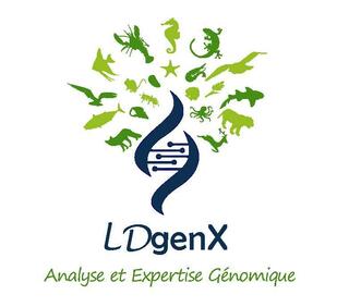 LDgenX