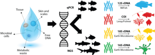 eDNA methods