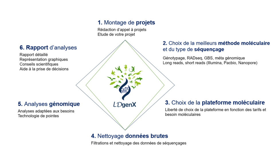 LDgenX analyses moleculaire